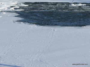 DSCF0085 300x225 Snowmobile Tracks