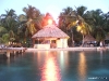 Tropical bar belize tobacco caye