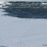 Snowmobile Tracks
