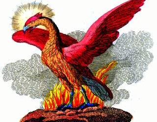 The Phoenix